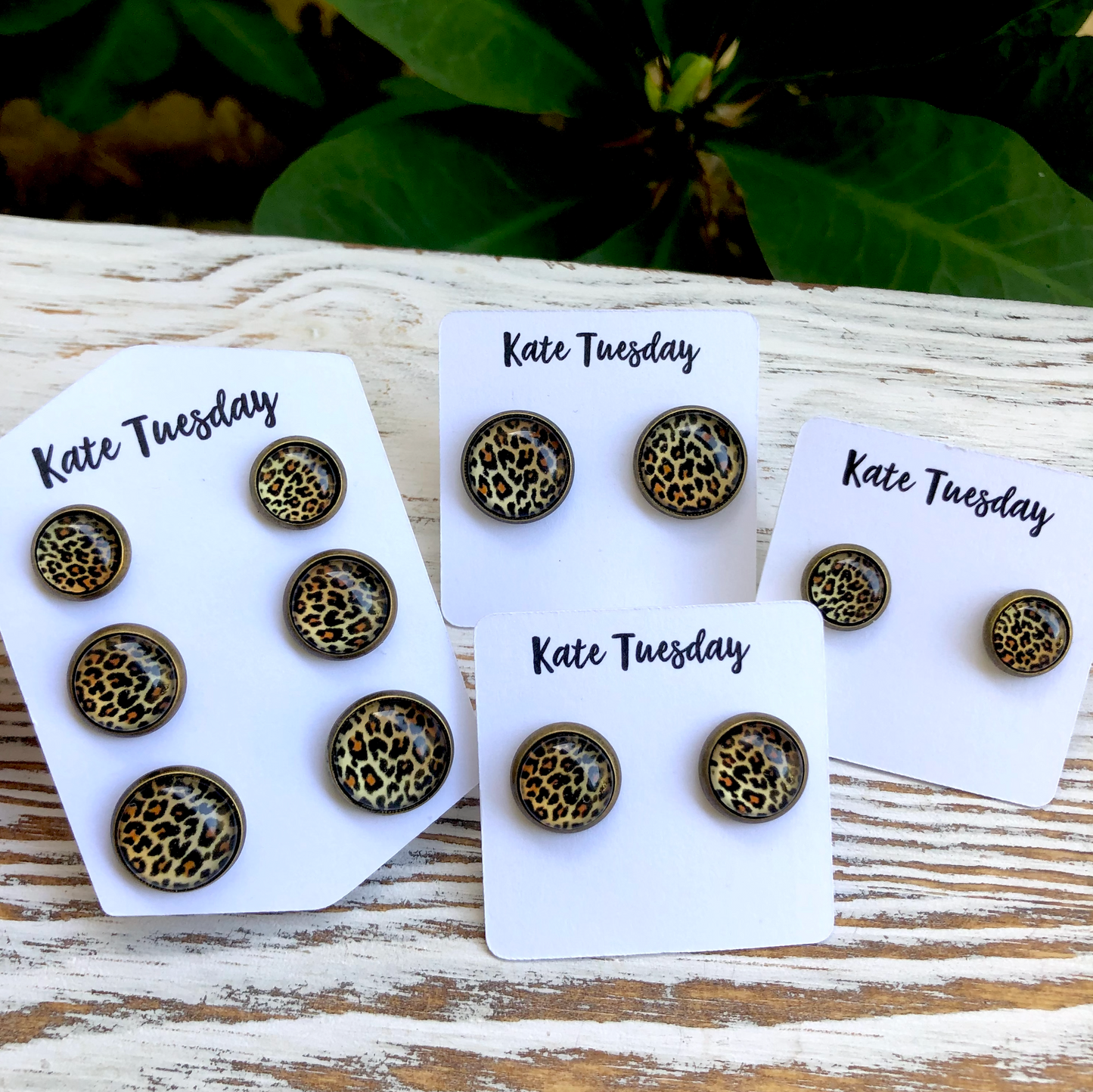 Cheetah Leopard Pack of Earrings